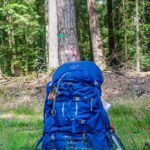Osprey Ariel 65 blauer Trekkingrucksack steht im sonnigen Wald – Frontansicht mit Trinkflasche