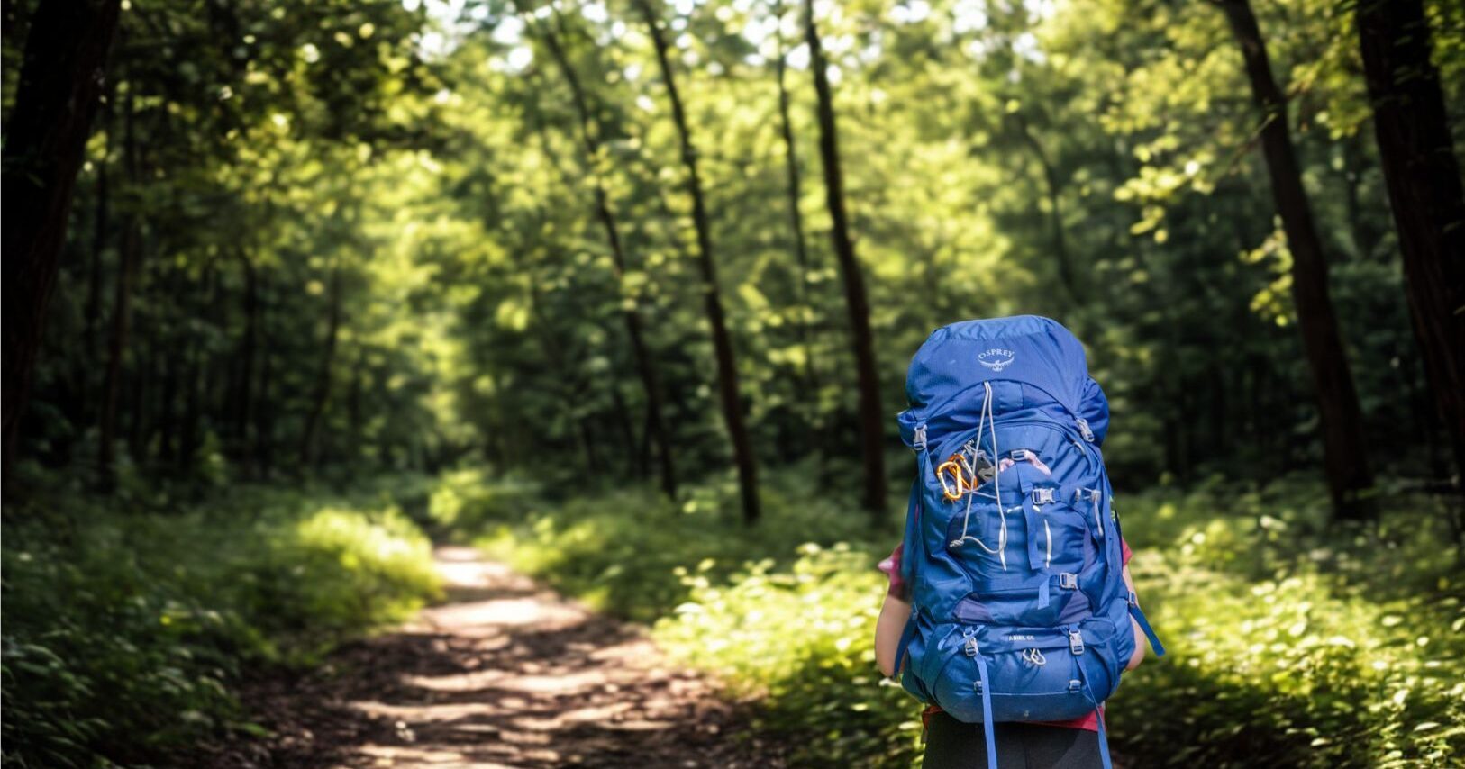 Frau trägt einen blauen Osprey Ariel 65 Trekkingrucksack auf dem Rücken auf einem sonnigen Waldweg