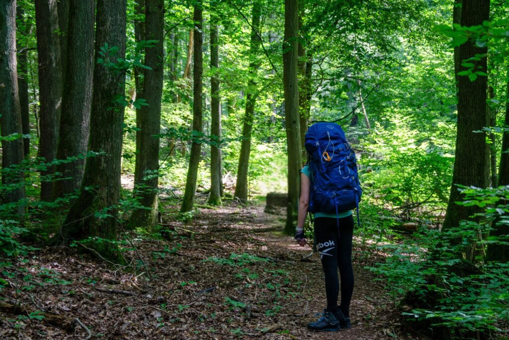 Frau mit Osprey Ariel 65 Trekkingrucksack auf dem Rücken auf einem sonnigen Waldweg
