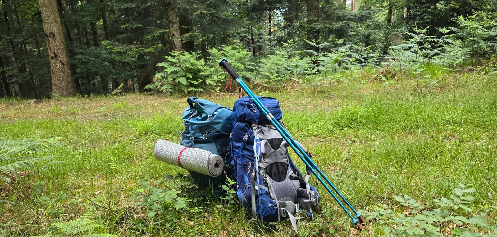 Gepackter Osprey Ariel 65 Trekkingrucksack mit Isomatte und Trekkingstöcken im Wald