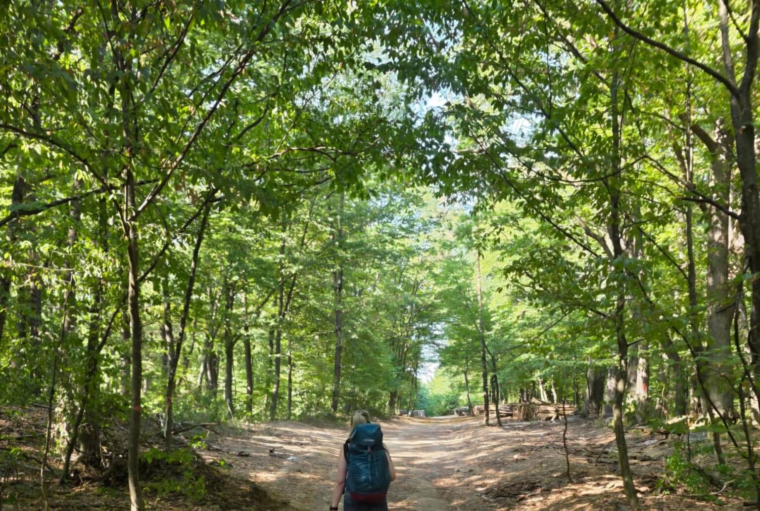 Frau mit Trekkingrucksack geht allein auf einem sonnigen Waldweg